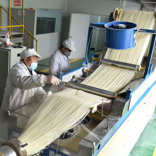 雙峰春節(jié)臨近，青樹坪米粉與碎石加工共譜生產(chǎn)繁忙曲